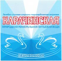 КАРАЧИНСКАЯ КАРАЧИНСКАЯ ПРИРОДНАЯ МИНЕРАЛЬНАЯ ПИТЬЕВАЯ ВОДА ЛЕЧЕБНО-СТОЛОВАЯ ХЛОРИДНО-ГИДРОКАРБОНАТНАЯ НАТРИЕВАЯ ГАЗИРОВАННАЯ