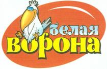 BOPOHA БЕЛАЯ ВОРОНА