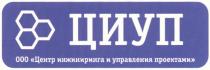 ЦИУП ЦИУП ООО ЦЕНТР ИНЖИНИРИНГА И УПРАВЛЕНИЯ ПРОЕКТАМИ