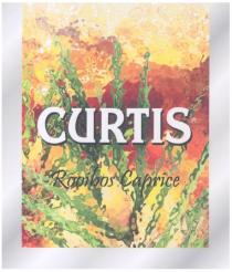 CURTIS ROOIBOS CAPRICE