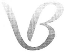 VB