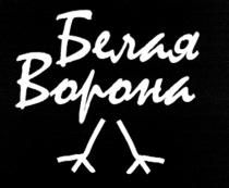 БЕЛАЯ ВОРОНА