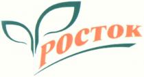 POCTOK РОСТОК