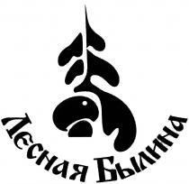 ЛЕСНАЯ БЫЛИНАБЫЛИНА