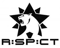 RECPECT RESPECT RSPCT SP CT R:SP:CTR:SP:CT