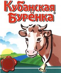 КУБАНСКАЯ БУРЁНКАБУРEНКА