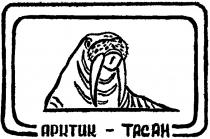 АРКТИК ТАСАН TACAH