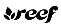 REEFREEF