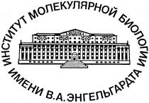 ИНСТИТУТ МОЛЕКУЛЯРНОЙ БИОЛОГИИ В.А.ЭНГЕЛЬГАРДТА ЭНГЕЛЬГАРДТА