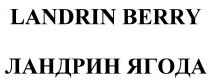 ЛАНДРИН LANDRIN LANDRIN BERRY ЛАНДРИН ЯГОДАЯГОДА