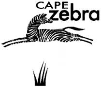 CAPE ZEBRAZEBRA