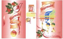 NORMULA NORMULA ACTIVE HARMONY BEAUTY С NORMULA ТЫ ВСЕГДА В НОРМЕ WELLNESS ЗДОРОВЫЙ ОБРАЗ ЖИЗНИЖИЗНИ