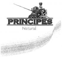 PRINCIPES PRINCIPES NATURALNATURAL