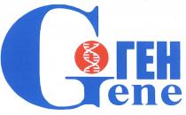 ГЕН GENEGENE