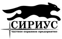 СИРИУС СИРИУС ЧАСТНОЕ ОХРАННОЕ ПРЕДПРИЯТИЕПРЕДПРИЯТИЕ