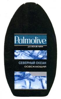 PALMOLIVE ДЛЯ МУЖЧИН СЕВЕРНЫЙ ОКЕАН ОСВЕЖАЮЩИЙОСВЕЖАЮЩИЙ