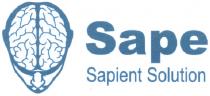 SAPE SAPE SAPIENT SOLUTIONSOLUTION