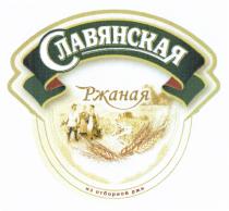 СЛАВЯНСКАЯ СЛАВЯНСКАЯ РЖАНАЯ ИЗ ОТБОРНОЙ РЖИРЖИ