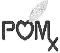 POMX POM TEA POM XX