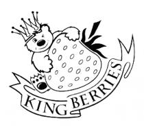KINGBERRIES KINGBERRY KING BERRIESBERRIES