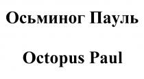 OCTOPUS ОСЬМИНОГ ПАУЛЬ OCTOPUS PAULPAUL