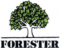 FORESTERFORESTER