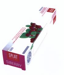 SPLAT SIBERRY SPLAT SPECIAL SIBERRY SP SCIENCE PATENT ИДЕЯ КАЧЕСТВО РЕЗУЛЬТАТ IDEA QUALITY RESULT