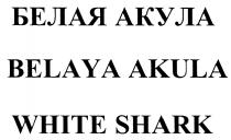 AKULA БЕЛАЯ АКУЛА BELAYA AKULA WHITE SHARKSHARK