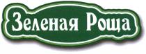 ЗЕЛЁНАЯ ЗЕЛЕНАЯ РОЩАЗЕЛEНАЯ РОЩА