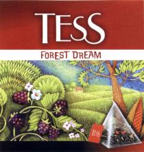 TESS TESS FOREST DREAMDREAM