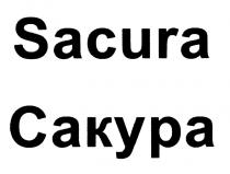 SACURA САКУРАСАКУРА