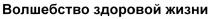 ВОЛШЕБСТВО ЗДОРОВОЙ ЖИЗНИЖИЗНИ