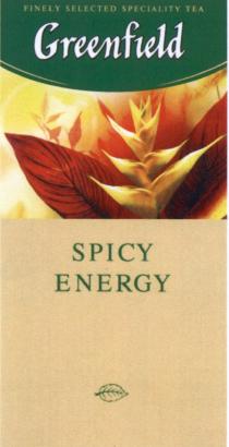 GREENFIELD GREENFIELD SPICY ENERGY FINELY SELECTED SPECIALITY TEATEA