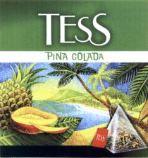 TESS TESS PINA COLADACOLADA