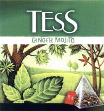 TESS TESS GINGER MOJITOMOJITO