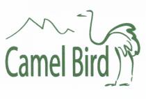 CAMEL BIRDBIRD