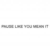 PAUSE LIKE YOU MEAN ITIT