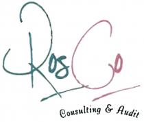 ROSCO ROSGO ROSCO ROS GO ROSCO CONSULTING & AUDITAUDIT