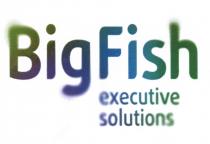 BIGFISH BIG FISH BIGFISH EXECUTIVE SOLUTIONSSOLUTIONS