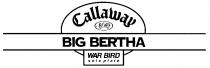 CALLAWAY BIG BERTHA WAR BIRD SOLE PLATE