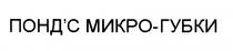 ПОНД ПОНДС МИКРОГУБКИ ГУБКИ ПОНДС МИКРО-ГУБКИПОНД'С МИКРО-ГУБКИ