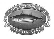 SEAHARVEST МОРСКОЙ УРОЖАЙ SEA HARVESTHARVEST