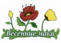 ВЕСЕННИЕ МАКИ