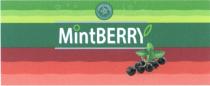 MINTBERRY MINT BERRY MINTBERRY NATURALNATURAL