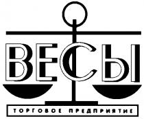 ВЕСЫ ТОРГОВОЕ ПРЕДПРИЯТИЕ