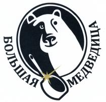 БОЛЬШАЯ МЕДВЕДИЦА