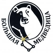 БОЛЬШАЯ МЕДВЕДИЦА