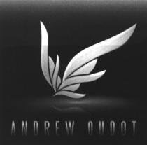 ANDREW OUDOTOUDOT