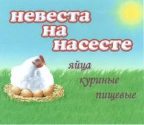 НЕВЕСТА НА НАСЕСТЕ ЯЙЦА КУРИНЫЕ ПИЩЕВЫЕПИЩЕВЫЕ