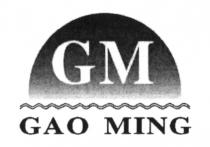 GAOMING MING GAO GM GAO MING